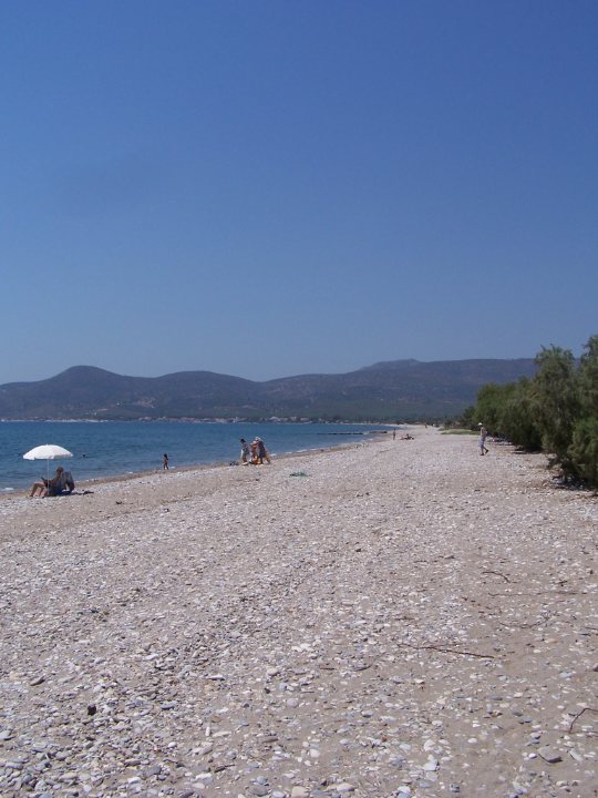 Strand